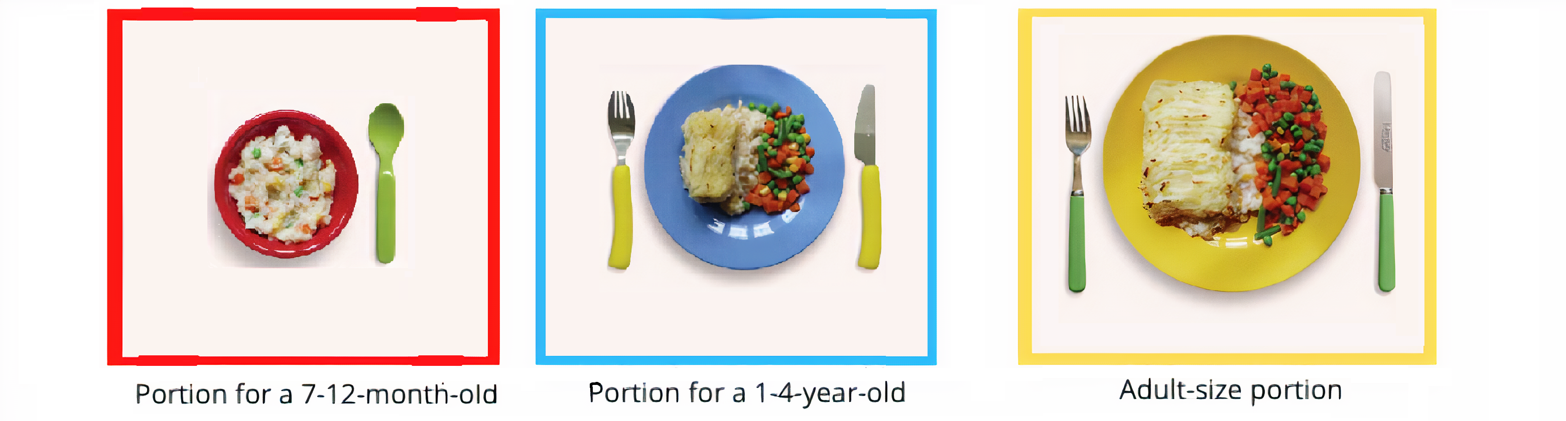 Portion Size Comparison