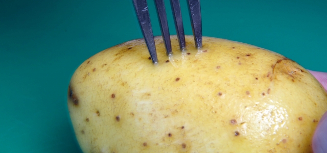 pricked potato